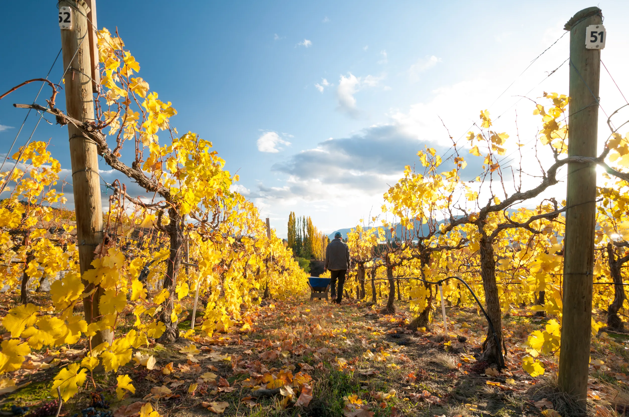 Naramata Bench Wines