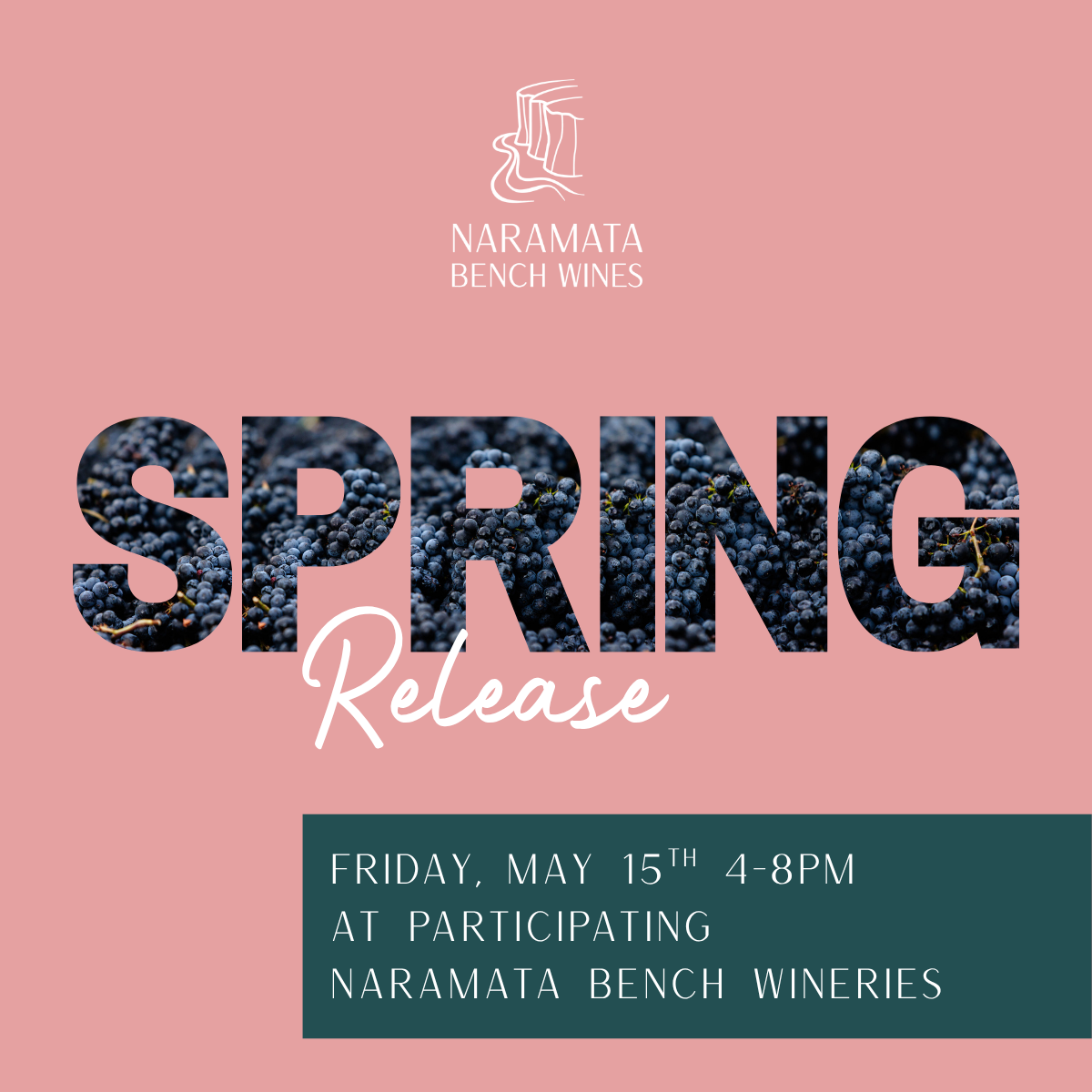 _On the Bench Spring Release (1200x1200) Naramata Bench Wines